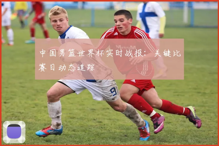 中国男篮世界杯实时战报：关键比赛日动态追踪